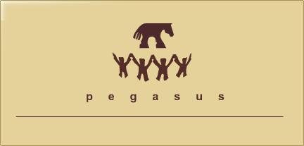 Fundacja Pegasus